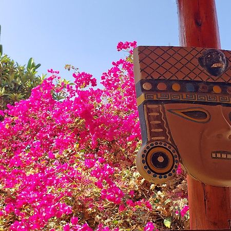 La Fortaleza Del Inca Lunahuaná Екстериор снимка
